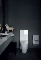 Напольный унитаз Laufen Kartell крышка микролифт - Gidratop.ru изображение