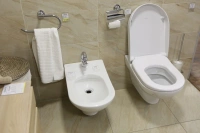 Биде Villeroy&Boch My Nature Plus 5410 00R1 подвесное - Gidratop.ru изображение