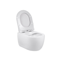 Унитаз подвесной Evo VT1-34S безободковый, цвет белый, ультратонкое soft-close сиденье - Gidratop.ru изображение