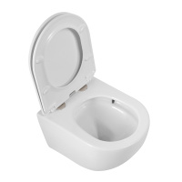 Унитаз подвесной безободковый с сиденьем CEZARES RELAX CZR-38088-49-TH-TOR/SC - Gidratop.ru изображение