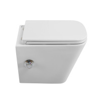 DUE Унитаз подвесной с сиденьем и креплением с функцией биде и смесителем BB3103CHR-BS/SC - Gidratop.ru изображение
