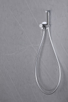 Смеситель ABBER Wasser Kreis AF8125 с гигиеническим душем, хром - Gidratop.ru изображение