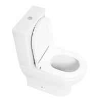 Чаша напольного унитаза CEZARES GIUBILEO CZR-165-CPR - Gidratop.ru изображение