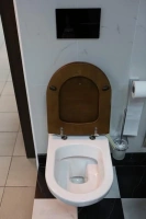 Подвесной унитаз Villeroy&Boch Hommage 6661 B0R2, ярко-белый - Gidratop.ru изображение