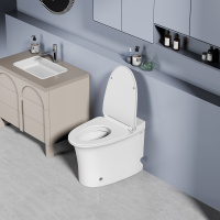 Унитаз ABBER Bequem AC1125P напольный белый с импульсным смывом - Gidratop.ru изображение