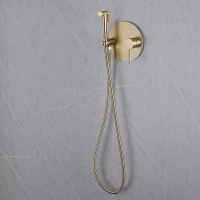 Смеситель ABBER Emotion AF8826G с гигиеническим душем, золото матовое - Gidratop.ru изображение