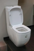 Напольный унитаз Laufen Palomba крышка микролифт - Gidratop.ru изображение