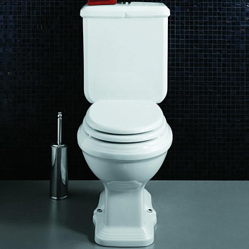 Унитаз моноблок 36,5х68,5см, выпуск в стену, с фурнитурой, цвет: белый