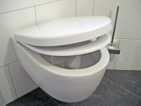 Подвесной унитаз Geberit iCon 204000 - Gidratop.ru изображение