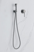 Смеситель ABBER Emotion AF8825NG с гигиеническим душем, никель - Gidratop.ru изображение