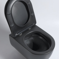 Унитаз подвесной Evo VT1-34SMB безободковый, цвет черный матовый, ультратонкое soft-close сиденье - Gidratop.ru изображение