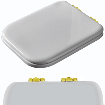Сиденье для унитаза, с микролифтом, цвет: белый/золото