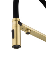 Смеситель для кухни с гибким изливом и подключением фильтра WONZON & WOGHAND, Брашированное золото (WW-88458009-BG) - Gidratop.ru изображение