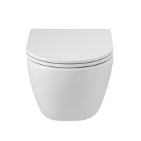 Унитаз подвесной безободковый с сиденьем CEZARES RELAX CZR-38088-49-TH-TOR/SC - Gidratop.ru изображение