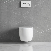 Унитаз подвесной Tornado Globo VT1-52T безободковый, цвет белый, ультратонкое soft-close сиденье - Gidratop.ru изображение