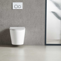 Унитаз подвесной Tornado Piatti VT1-11T безободковы, цвет белый, ультратонкое soft-close сиденье - Gidratop.ru изображение