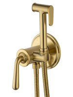 Смеситель с гигиеническим душем встраиваемый WONZON & WOGHAND STEAM, Брашированное золото (WW-88829008-BG) - Gidratop.ru изображение