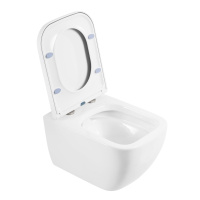 ALPINA Унитаз подвесной безободковый с сиденьем дюропласт soft close, BB10100CHR/SC - Gidratop.ru изображение