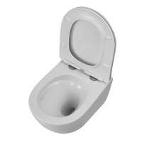 Унитаз подвесной безободковый BelBagno AMANDA-TOR BB051CH-TOR-FC/BB051SC - Gidratop.ru изображение