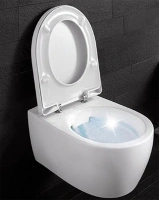 Подвесной безободковый унитаз Geberit iCon 204060000/574130000, крышка микролифт - Gidratop.ru изображение