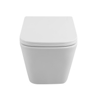 DUE Чаша унитаза подвесного c креплением и сиденьем дюропласт soft close BB3103CHR/SC - Gidratop.ru изображение