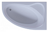 Акриловая ванна Aquatek Фиджи 170x110 FID170-0000005 правая, без гидромассажа, с фронтальным экраном (вклеенный каркас) - Gidratop.ru изображение