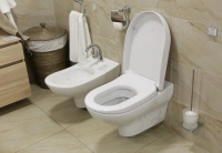 Подвесной унитаз Villeroy&Boch My Nature Plus 5610 10R1 - Gidratop.ru изображение