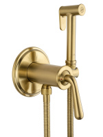 Смеситель с гигиеническим душем встраиваемый WONZON & WOGHAND STEAM, Брашированное золото (WW-88829008-BG) - Gidratop.ru изображение