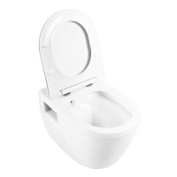 LOTO Чаша унитаза подвесного c креплением и сиденьем дюропласт soft close BB070CHR/SC - Gidratop.ru изображение