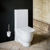 Напольный унитаз Laufen New Classic 8.2485.8.000.000.1, безободковый, белый матовый - Gidratop.ru изображение