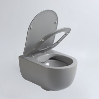 Унитаз подвесной Evo VT1-34SMG безободковый, цвет серый матовый, ультратонкое soft-close сиденье - Gidratop.ru изображение