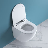 Унитаз подвесной безободковый BelBagno SFERA-R BB046CHR/BB2111SC - Gidratop.ru изображение