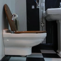 Подвесной унитаз Villeroy&Boch Hommage 6661B0R1, белый - Gidratop.ru изображение