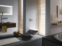 Кнопка Geberit Omega Type 20 115.085.KN.1, матовая, глянцевый хром - Gidratop.ru изображение