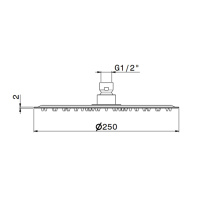 Newform X-STEEL 316 Верхний душ, d250 мм, без кронштейна, G1/2" , цвет: PVD Brushed gun metal - Gidratop.ru изображение