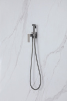 Смеситель ABBER Daheim AF8226NG с гигиеническим душем, никель - Gidratop.ru изображение