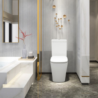 Чаша напольного унитаза CEZARES LUX CZR-159-CPR - Gidratop.ru изображение