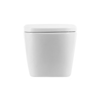 Унитаз подвесной безободковый BelBagno ALBANO BB120CHR/BB120SC - Gidratop.ru изображение