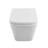 DUE Унитаз подвесной с сиденьем и креплением с функцией биде и смесителем BB3103CHR-BS/SC - Gidratop.ru изображение