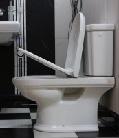 Напольный унитаз Villeroy&Boch Hommage 666210R2 / 772111R2 - Gidratop.ru изображение