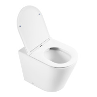 Унитаз приставной безободковый BelBagno FLAY-R BB1003CBR/BB870SC - Gidratop.ru изображение